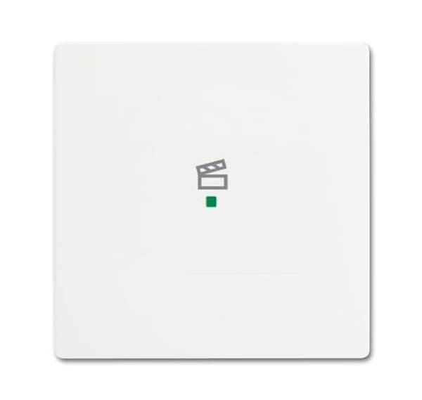 Busch-Jäger 6233-10-884-Wippe 1-fach, mit Symbol Szene