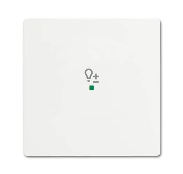 Busch-Jäger 6234-10-884-Wippe 1-fach, mit Symbol Dimmer