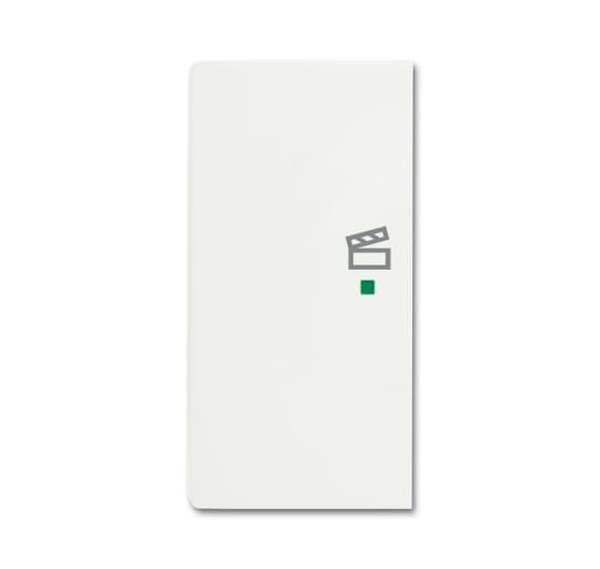 Busch-Jäger 6233-21-884-Wippe 2-fach links, mit Symbol Szene