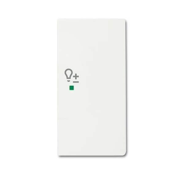 Busch-Jäger 6234-22-884-Wippe 2-fach rechts, mit Symbol Dimmer