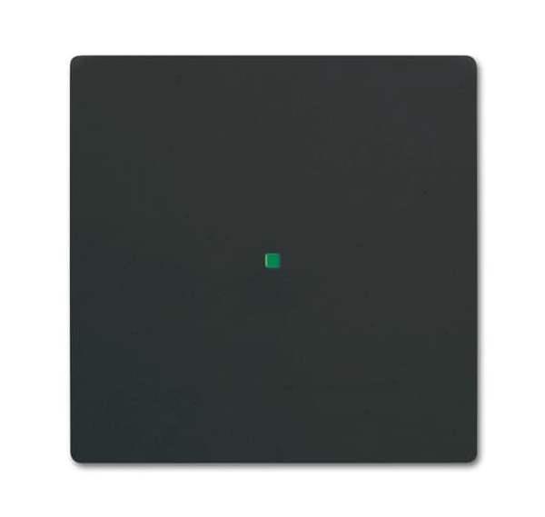 Busch-Jäger 6230-10-885-Wippe 1-fach, ohne Bedruckung