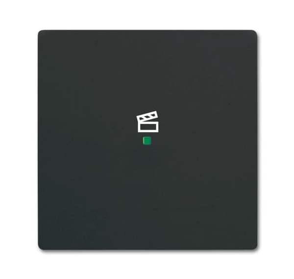Busch-Jäger 6233-10-885-Wippe 1-fach, mit Symbol Szene