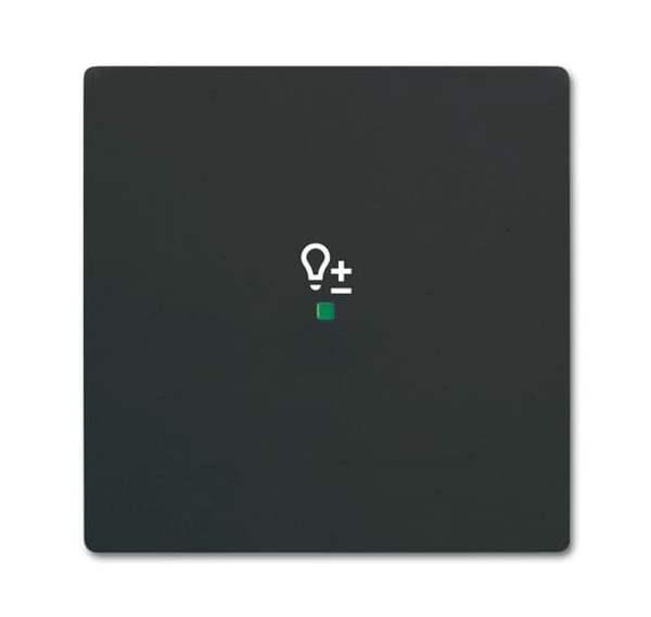 Busch-Jäger 6234-10-885-Wippe 1-fach, mit Symbol Dimmer