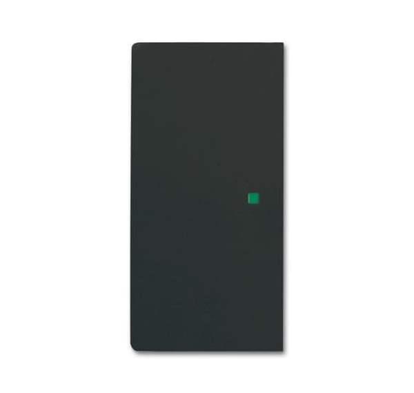 Busch-Jäger 6230-20-885-Wippe 2-fach links/rechts, ohne Bedruckung