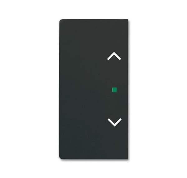 Busch-Jäger 6232-20-885-Wippe 2-fach links/rechts, mit Symbol Jalousie