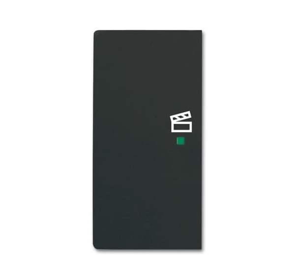 Busch-Jäger 6233-21-885-Wippe 2-fach links, mit Symbol Szene
