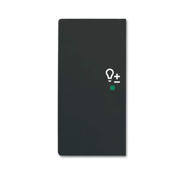 Busch-Jäger 6234-21-885-Wippe 2-fach links, mit Symbol Dimmer