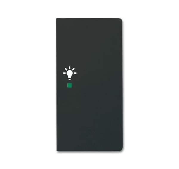 Busch-Jäger 6231-22-885-Wippe 2-fach rechts, mit Symbol Licht