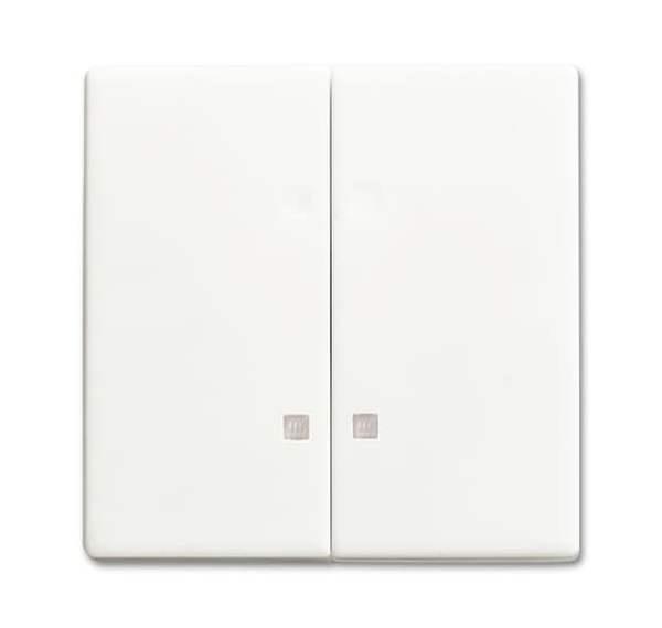 Busch-Jäger 1785 K-884-Wippe Wippe-Serien-Kontrollschalter Busch-Jäger 1785 K-884-Wippe Wippe-Serien-Kontrollschalter