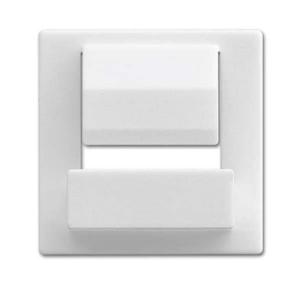 Busch-Jäger 6477-84-Zentralscheibe für Busch-powerDock