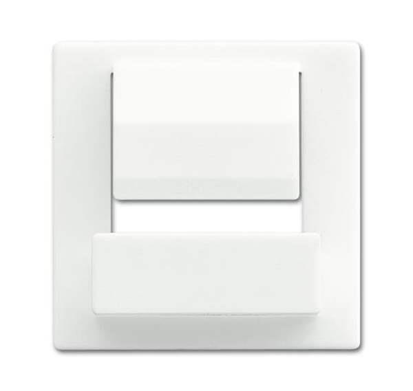 Busch-Jäger 6477-884-Zentralscheibe für Busch-powerDock