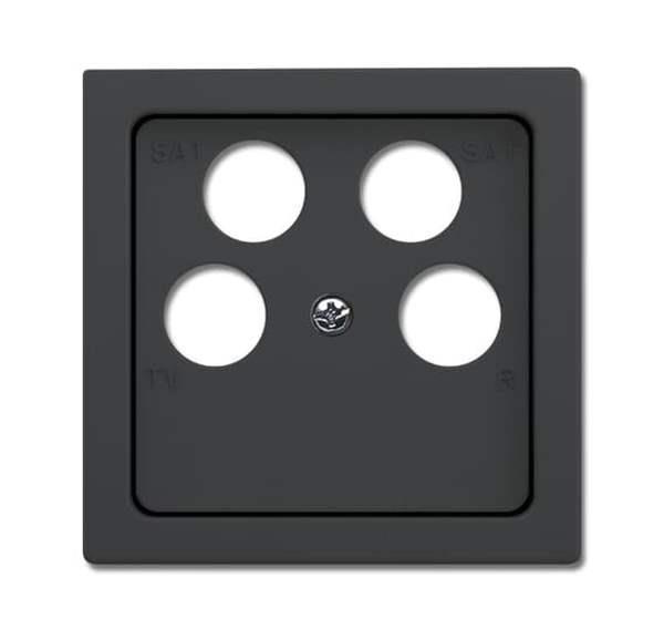 Busch-Jäger 1743/10-04-81-Zentralscheibe