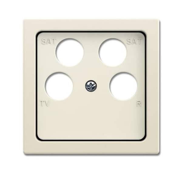 Busch-Jäger 1743/10-04-82-Zentralscheibe