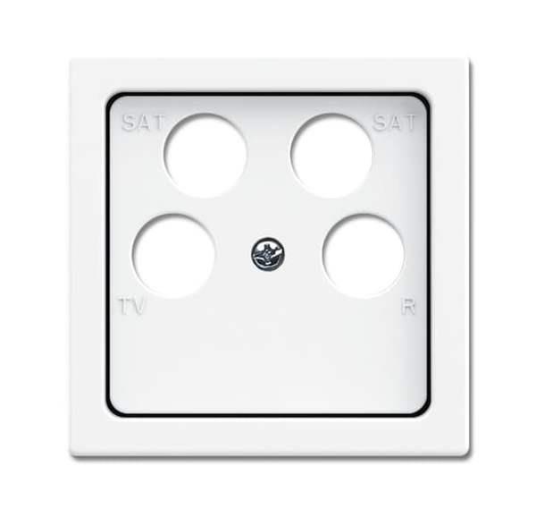 Busch-Jäger 1743/10-04-84-Zentralscheibe