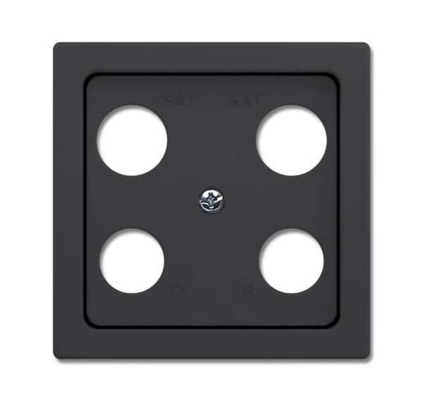 Busch-Jäger 1743-04-81-Zentralscheibe