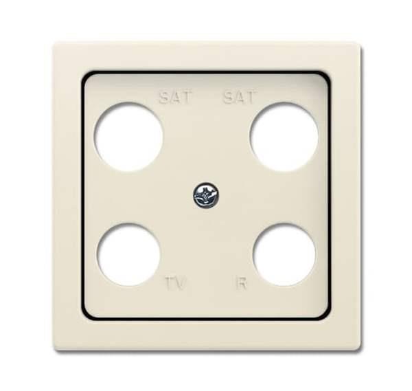 Busch-Jäger 1743-04-82-Zentralscheibe