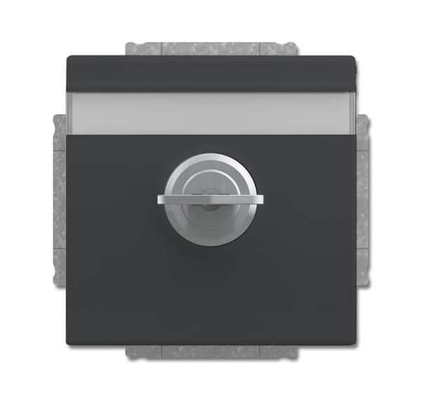 Busch-Jäger 20 EUKNBSL-81-101-SCHUKO® Steckdosen-Einsatz mit Klappdeckel und Sch Busch-Jäger 20 EUKNBSL-81-101-SCHUKO® Steckdosen-Einsatz mit Klappdeckel und Sch