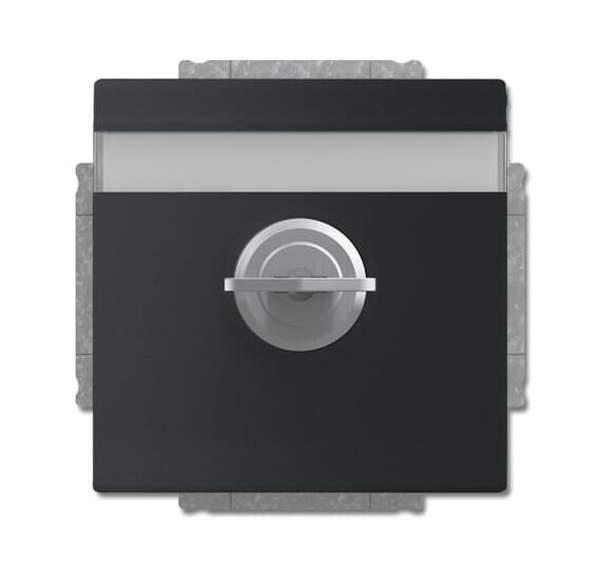 Busch-Jäger 20 EUKNBSL-885-101-SCHUKO® Steckdosen-Einsatz mit Klappdeckel und Sc Busch-Jäger 20 EUKNBSL-885-101-SCHUKO® Steckdosen-Einsatz mit Klappdeckel und Sc