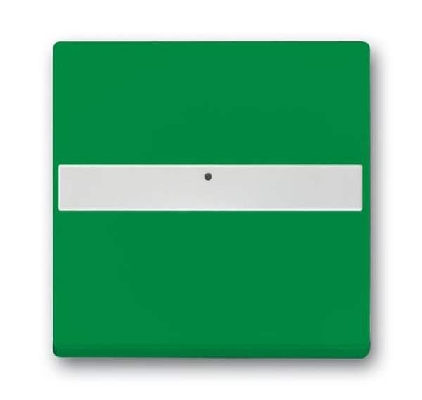 Busch-Jäger 1764 NLI-13-82-Wippe mit Beschriftungsfeld Busch-Jäger 1764 NLI-13-82-Wippe mit Beschriftungsfeld