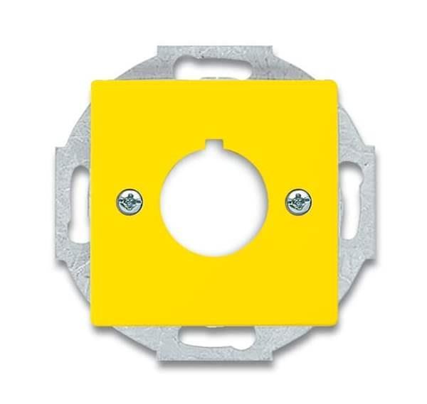 Busch-Jäger 2533-82-15-Zentralscheibe mit Tragring