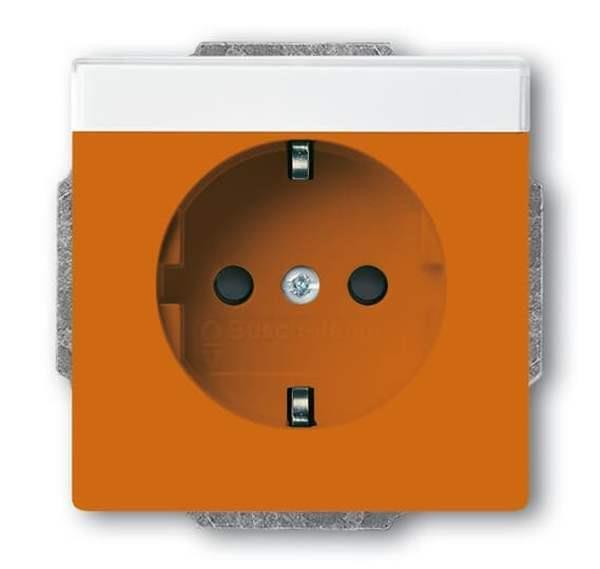 Busch-Jäger 20 EUCNB-14-82-SCHUKO® Steckdosen-Einsatz mit Beschriftungsfeld