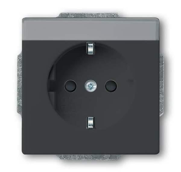 Busch-Jäger 20 EUCNB-81-SCHUKO® Steckdosen-Einsatz mit Beschriftungsfeld/erh. Be