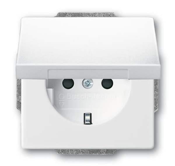 Busch-Jäger 20 EUKB-84-SCHUKO® Steckdosen-Einsatz mit Klappdeckel und int. erh.