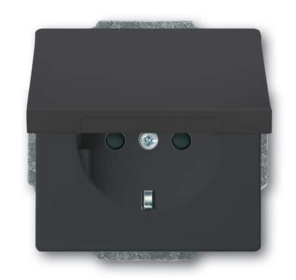Busch-Jäger 20 EUKBR-81-SCHUKO® Steckdosen-Einsatz mit Klappdeckel und int. erh.