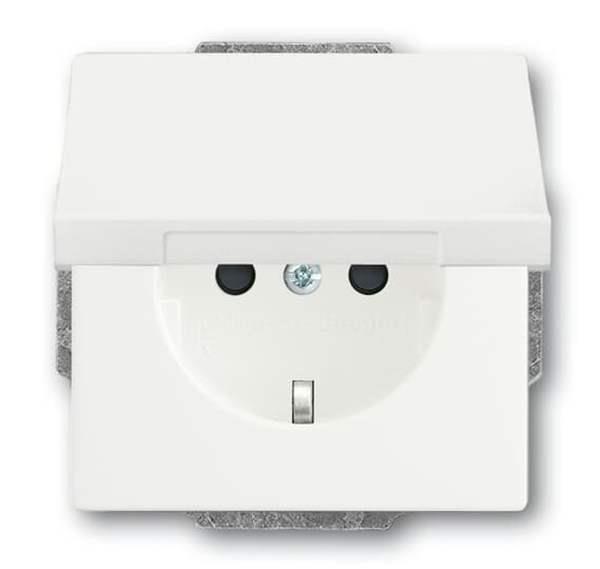 Busch-Jäger 20 EUKBR-884-SCHUKO® Steckdosen-Einsatz mit Klappdeckel und int. erh