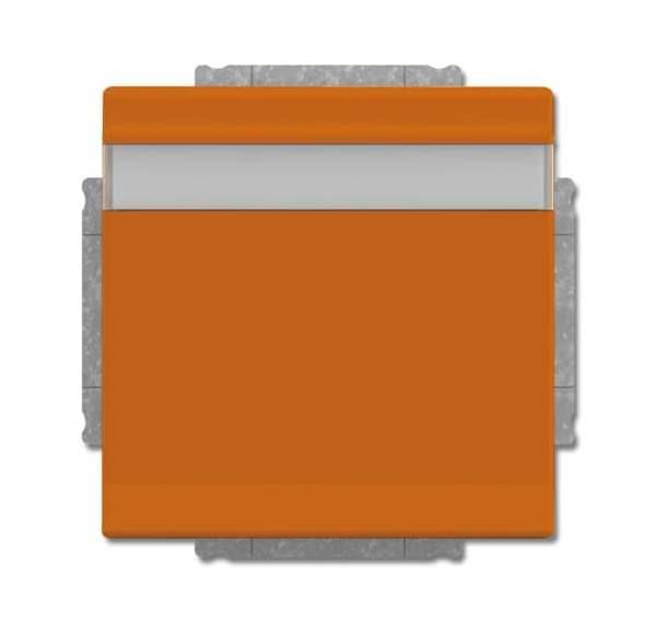 Busch-Jäger 20 EUKNB-14-82-SCHUKO® Steckdosen-Einsatz mit Klappdeckel und Beschr