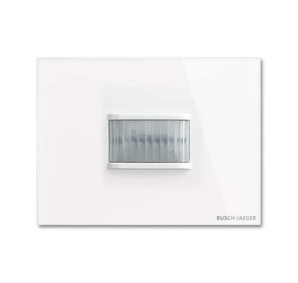 Busch-Jäger TBW/U.3.11-CG Busch-Wächter 180°