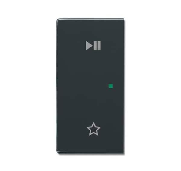 Busch-Jäger 6237-21-81-Wippe 2-fach links, mit Symbol Play/Pause