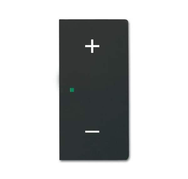 Busch-Jäger 6237-22-885-Wippe 2-fach rechts, mit Symbol Volume