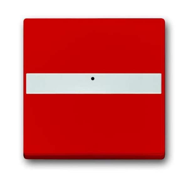 Busch-Jäger 1764 NLI-12-82-101-Wippe mit Beschriftungsfeld