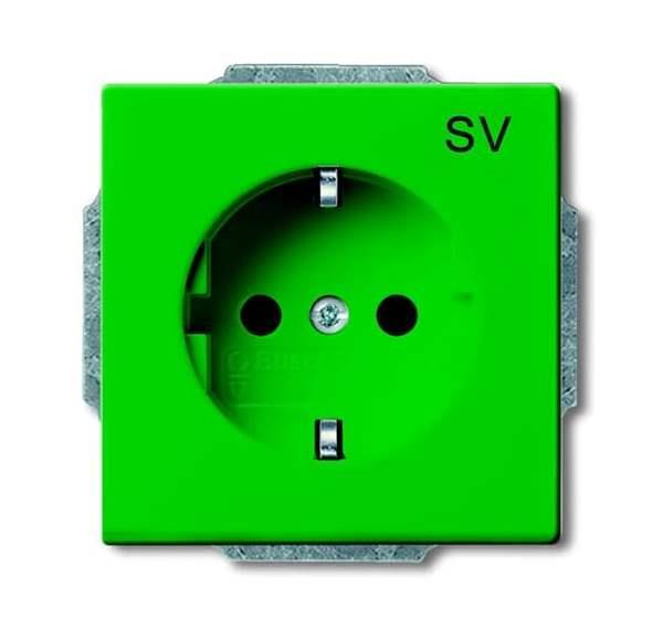 Busch-Jäger 20 EUC-13-82-101-SCHUKO® Steckdosen-Einsatz mit Aufdruck