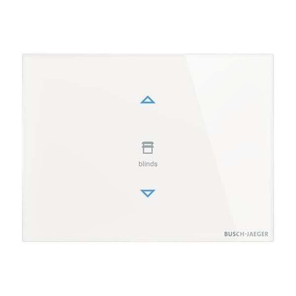 Busch-Jäger Touch-Bedienelement, 2-fach Konfigurierbares Gerät