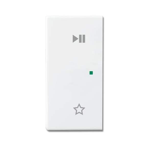 Busch-Jäger 6237-21-84-Wippe 2-fach links, mit Symbol Play/Pause