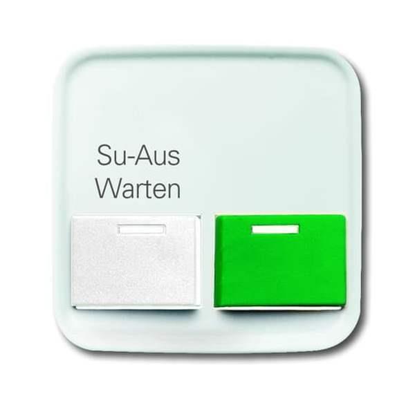 Busch-Jäger 2548-642 BD-214-101-Zentralscheibe