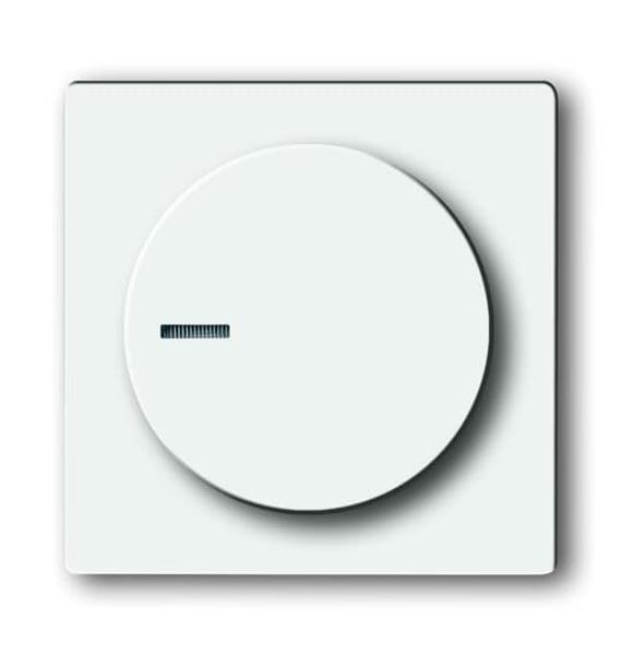 Busch-Jäger 6540-84-102-510-Zentralscheibe Dimmer future linear 6540-84-102-510