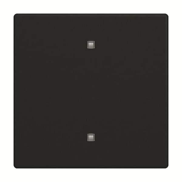 Busch-Jäger 2570-10-885-2570-10-885 Wippe Elektroniktaster