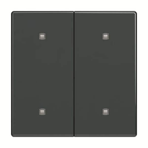 Busch-Jäger 2570-20-81-2570-20-81 Wippe 2-fach Elekroniktaster