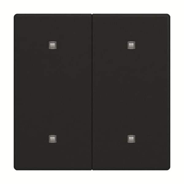 Busch-Jäger 2570-20-885-2570-20-885 Wippe 2-fach Elekroniktaster