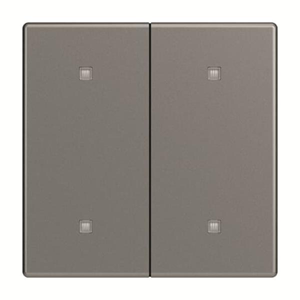 Busch-Jäger 2570-20-803-2570-20-803 Wippe 2-fach Elekroniktaster
