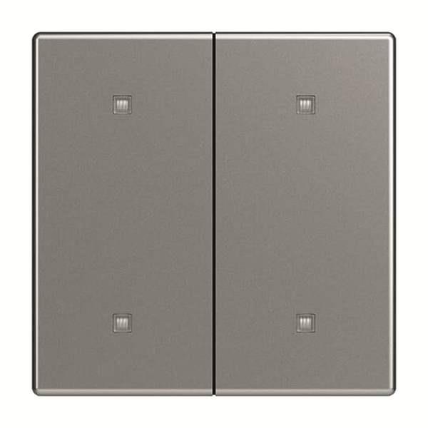 Busch-Jäger 2570-20-866-2570-20-866 Wippe 2-fach Elekroniktaster