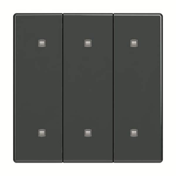 Busch-Jäger 2570-30-81-2570-30-81 Wippe 3-fach Elekroniktaster
