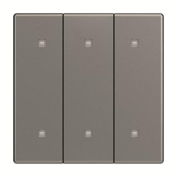 Busch-Jäger 2570-30-803-2570-30-803 Wippe 3-fach Elekroniktaster