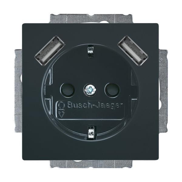 Busch-Jäger 20 EUCB2USB-81-20 EUCB2USB-81 SCHUKO® 2x USB-Steckdose