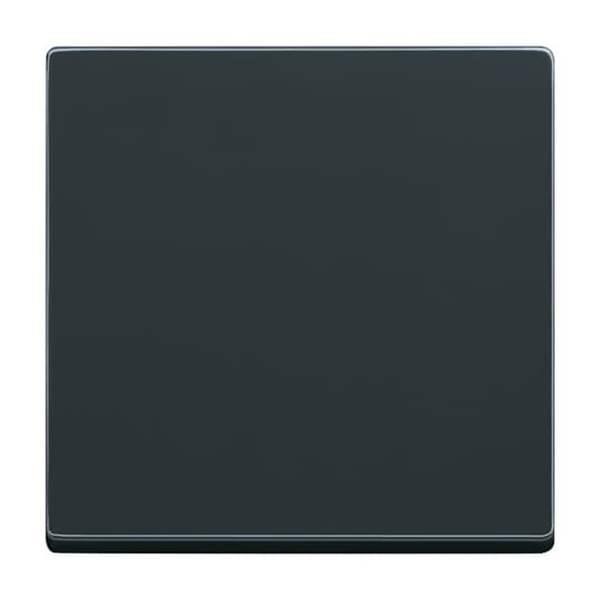 Busch-Jäger 6735 BT-81-6735 BT-81 BT-Bedienelement 1-fach