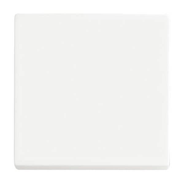 Busch-Jäger 6735 BT-884-Wippe 1-fach für Bedienelement Smart Switch