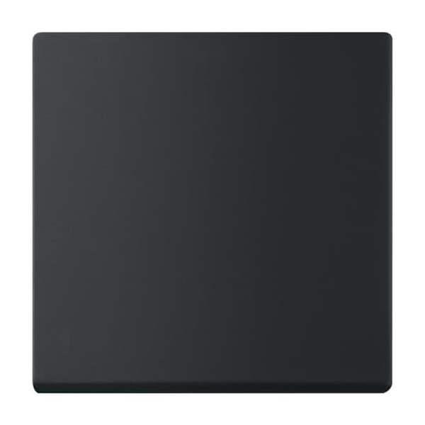 Busch-Jäger 6735 BT-885-Wippe 1-fach für Bedienelement Smart Switch